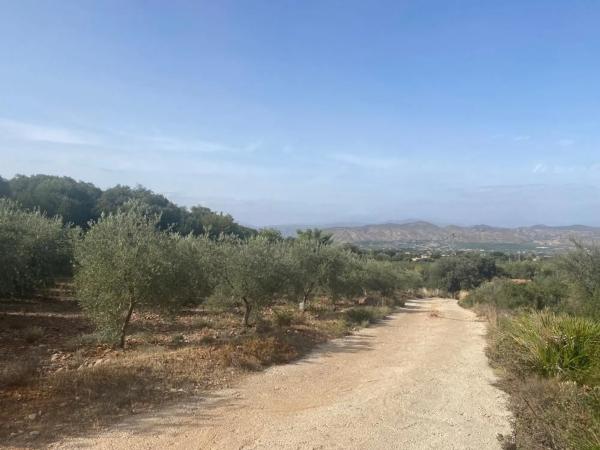 Terreno en Urbanizacion La Paca