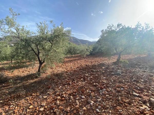 Terreno en Urbanizacion La Paca