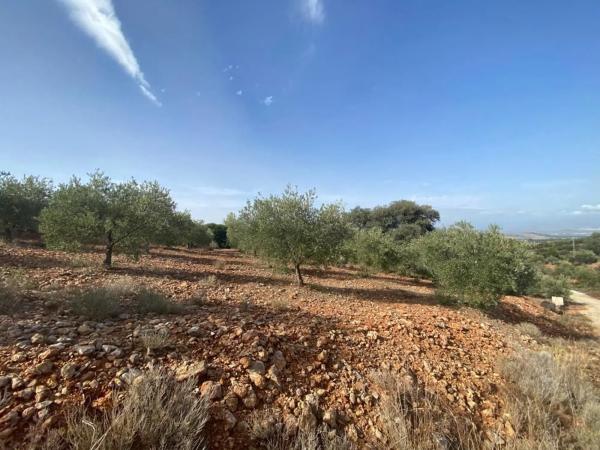 Terreno en Urbanizacion La Paca