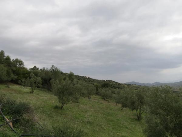 Terreno en camino Nuevo, 74 d