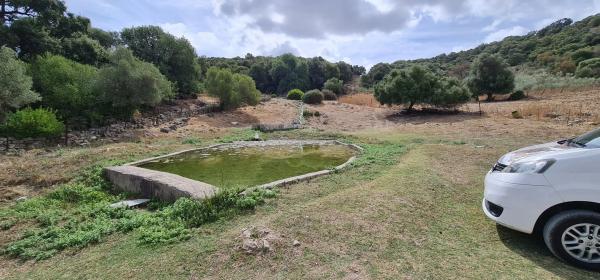 Terreno en Diseminado Lechispe, 8