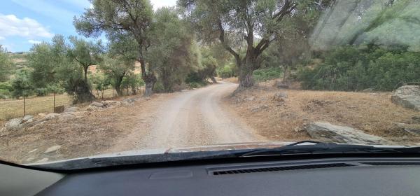 Terreno en Diseminado Lechispe, 8