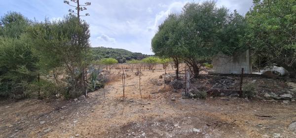 Terreno en Diseminado Lechispe, 8