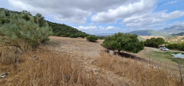 Terreno en Diseminado Lechispe, 8