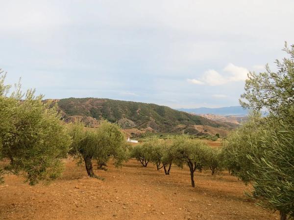 Terreno en camino de Carratraca