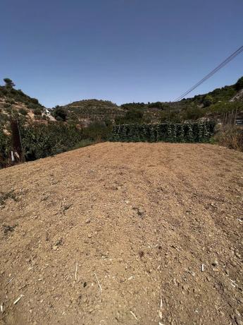 Terreno en Partida Planos, 40