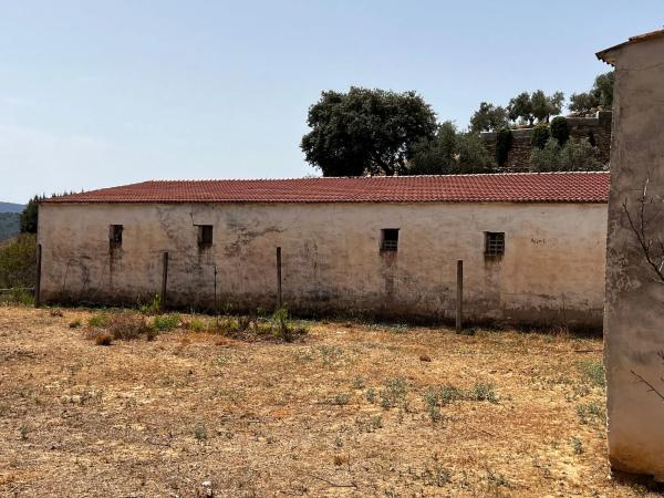 Terreno en Partida Planos, 40