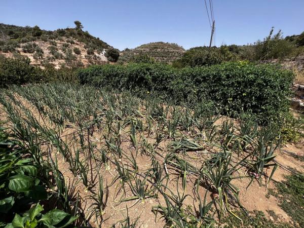 Terreno en Partida Planos, 40