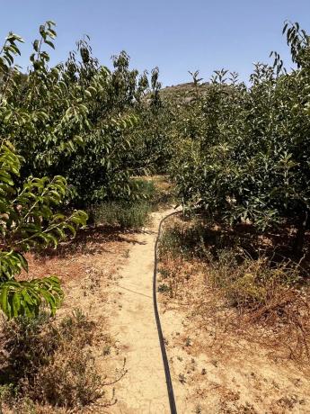 Terreno en Partida Planos, 40