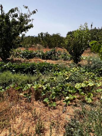 Terreno en Partida Planos, 40