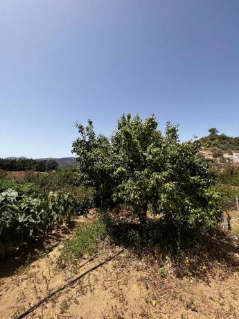 Terreno en Partida Planos, 40