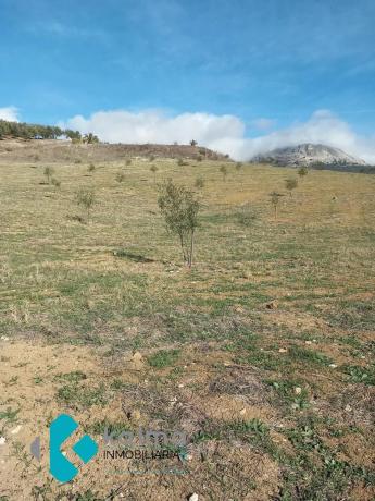 Terreno en Pedregales Bajos s/n