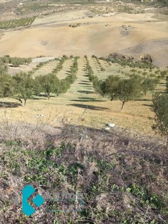 Terreno en Pedregales Bajos s/n