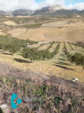 Terreno en Pedregales Bajos s/n