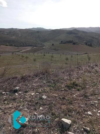 Terreno en Pedregales Bajos s/n