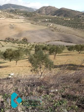 Terreno en Pedregales Bajos s/n