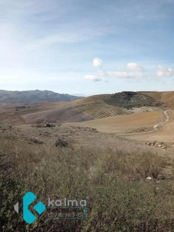 Terreno en Pedregales Bajos s/n