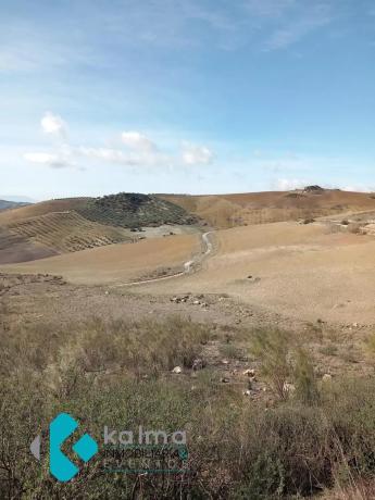 Terreno en Pedregales Bajos s/n