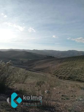 Terreno en Pedregales Bajos s/n