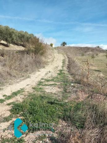 Terreno en Pedregales Bajos s/n