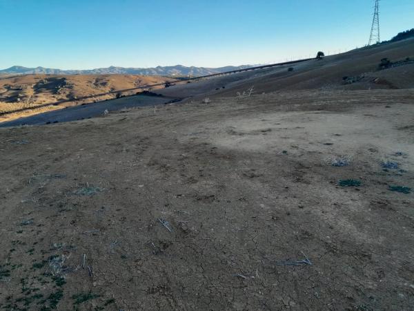 Terreno en El Quinto (pasada la Estación Las Mellizas), 1