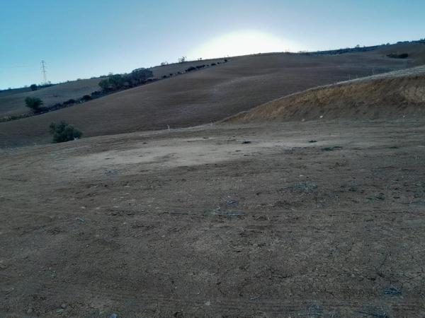 Terreno en El Quinto (pasada la Estación Las Mellizas), 1