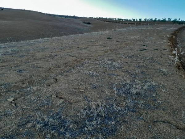 Terreno en El Quinto (pasada la Estación Las Mellizas), 1