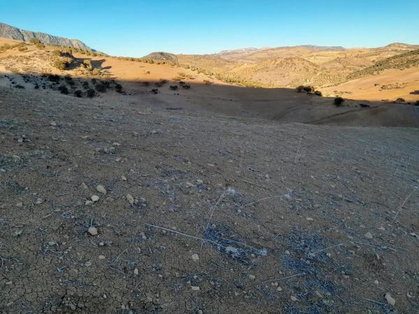 Terreno en El Quinto (pasada la Estación Las Mellizas), 1