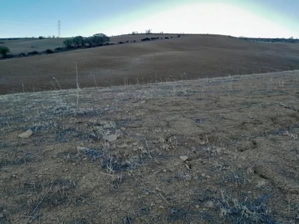 Terreno en El Quinto (pasada la Estación Las Mellizas), 1