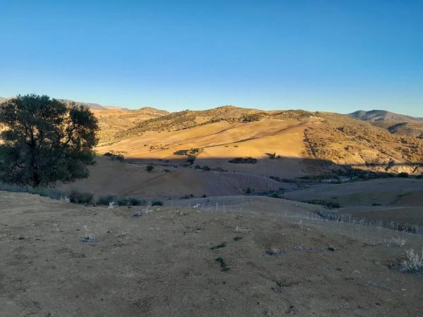 Terreno en El Quinto (pasada la Estación Las Mellizas), 1