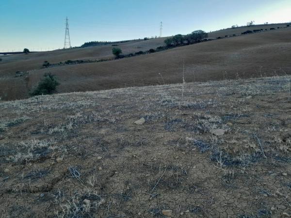 Terreno en El Quinto (pasada la Estación Las Mellizas), 1
