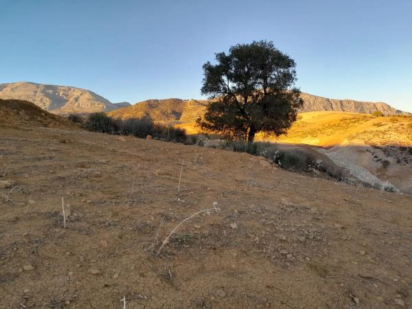 Terreno en El Quinto (pasada la Estación Las Mellizas), 1