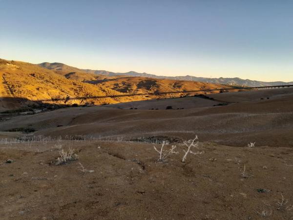 Terreno en El Quinto (pasada la Estación Las Mellizas), 1
