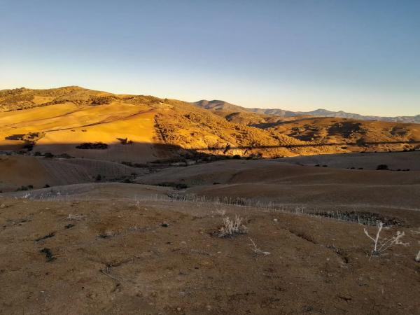 Terreno en El Quinto (pasada la Estación Las Mellizas), 1