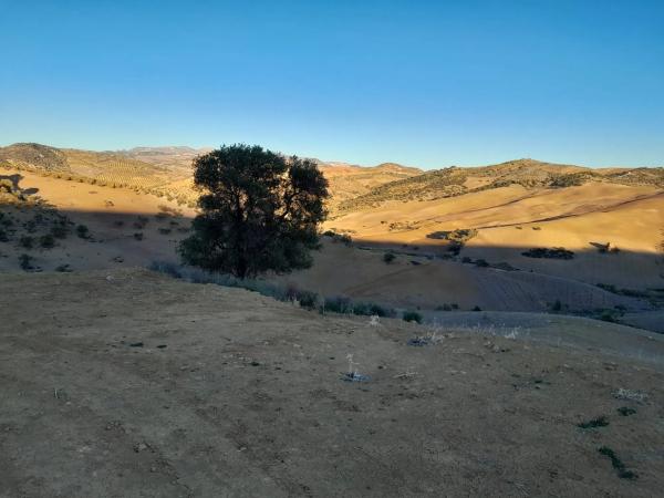 Terreno en El Quinto (pasada la Estación Las Mellizas), 1