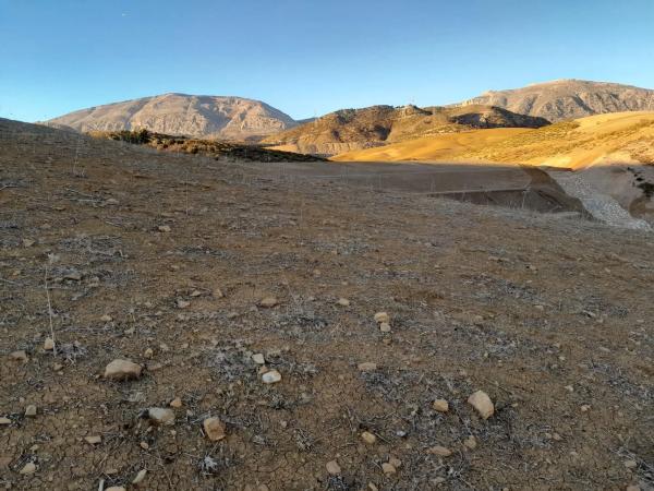 Terreno en El Quinto (pasada la Estación Las Mellizas), 1