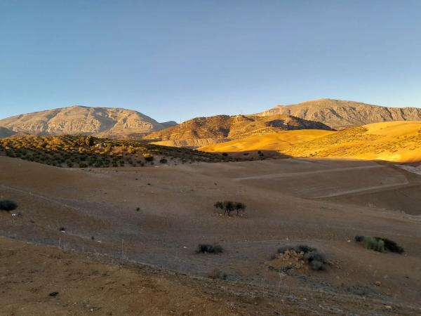 Terreno en El Quinto (pasada la Estación Las Mellizas), 1