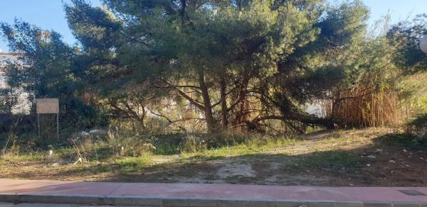 Terreno en Amanecer, 30