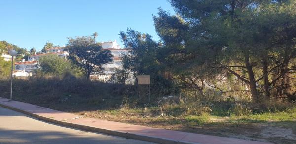 Terreno en Amanecer, 30