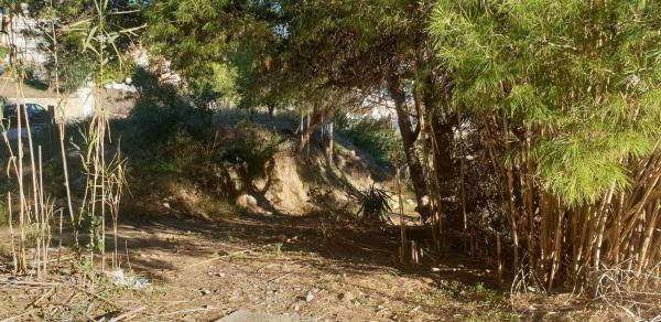 Terreno en Amanecer, 30