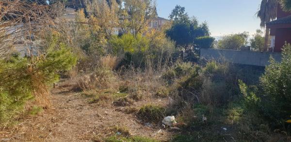 Terreno en Amanecer, 30