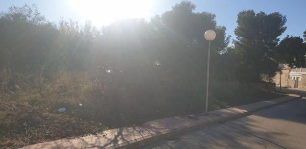 Terreno en Amanecer, 30