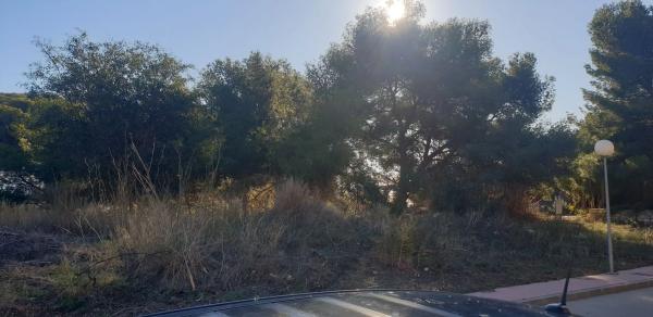 Terreno en Amanecer, 30