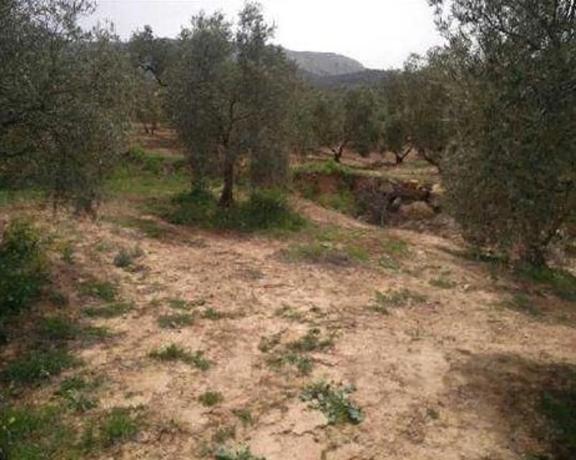 Terreno en camino de la Dehesa s/n