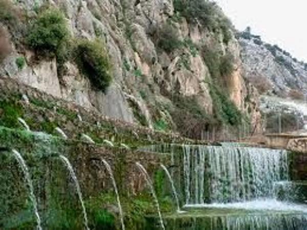 Terreno en camino de la Dehesa s/n