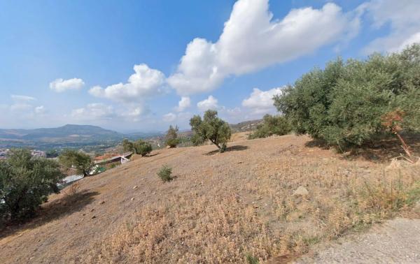 Terreno en calle Puerto s/n