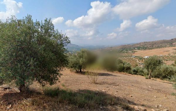 Terreno en calle Puerto s/n