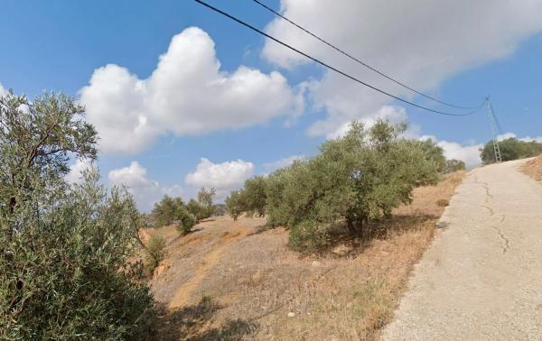 Terreno en calle Puerto s/n