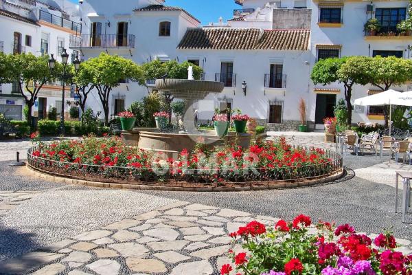 Terreno en calle Caridad, 40