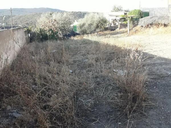 Terreno en calle La Pedriza s/n